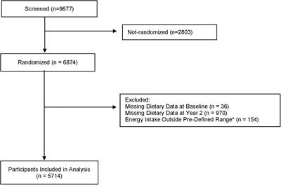 Mediterranean, DASH, and MIND Dietary Patterns and Cognitive Function: The 2-Year Longitudinal Changes in an Older Spanish Cohort